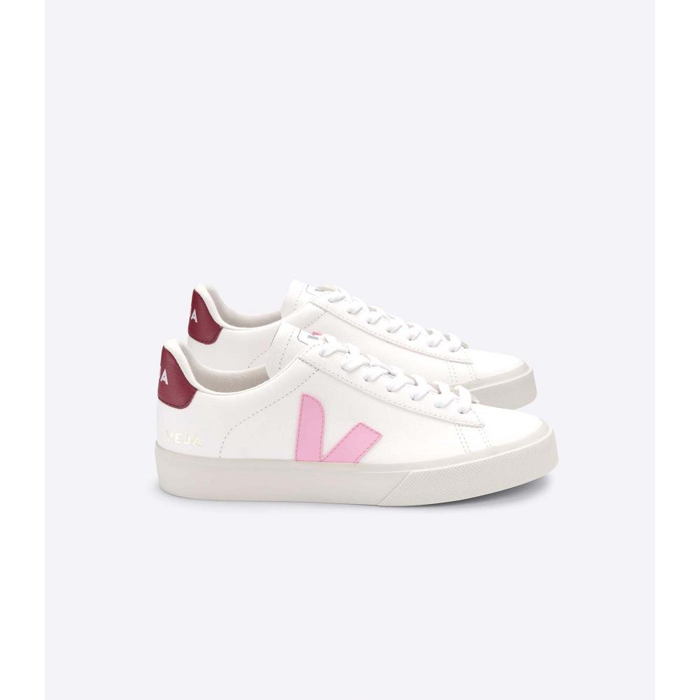 Veja CAMPO CHROMEFREE Men\'s Low Tops Sneakers White/Pink | CA 193WNB